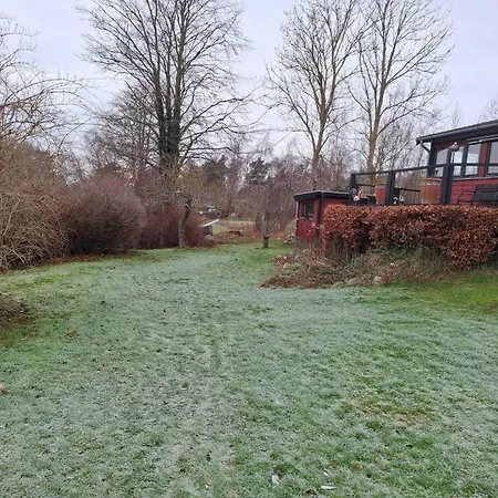 Beautiful Near The *